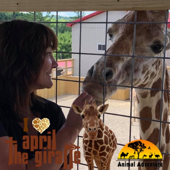 Meet your Posher, Cathy - Picture 1 of 1